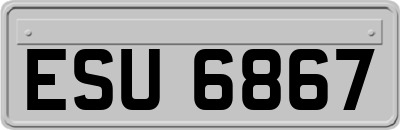 ESU6867