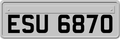 ESU6870
