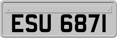 ESU6871