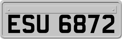 ESU6872