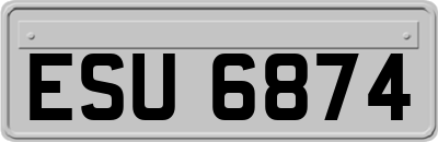 ESU6874