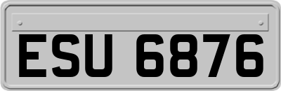 ESU6876