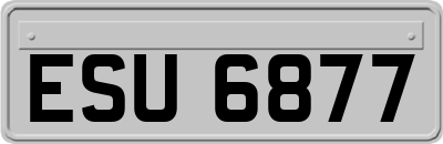 ESU6877