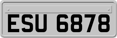 ESU6878