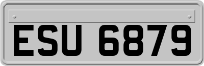 ESU6879