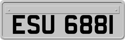 ESU6881