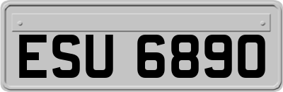 ESU6890