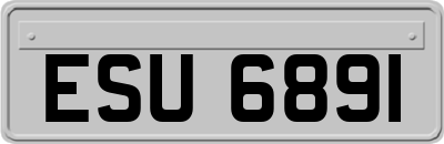 ESU6891