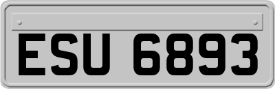 ESU6893