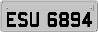 ESU6894