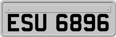 ESU6896