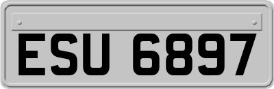 ESU6897