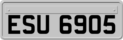 ESU6905