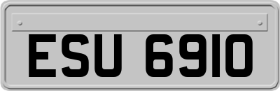 ESU6910