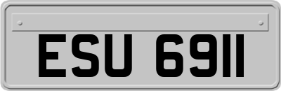 ESU6911