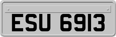 ESU6913