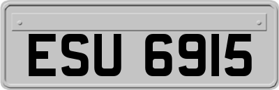 ESU6915