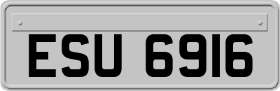 ESU6916