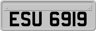 ESU6919