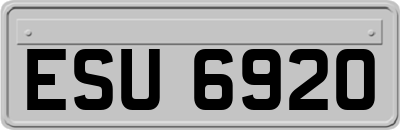 ESU6920