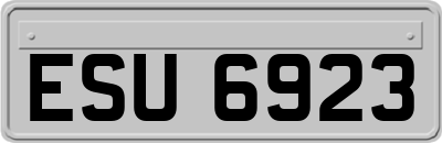 ESU6923