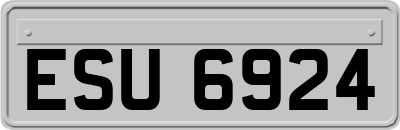 ESU6924