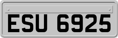 ESU6925