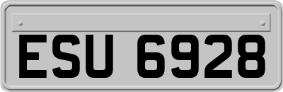 ESU6928