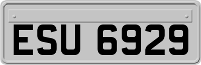 ESU6929