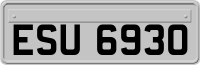 ESU6930