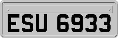 ESU6933