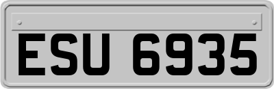 ESU6935