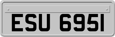ESU6951