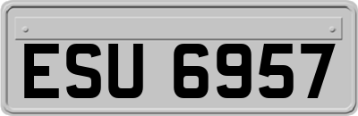 ESU6957