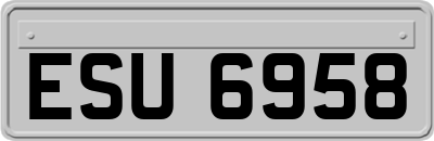 ESU6958