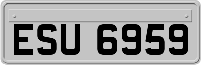 ESU6959