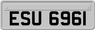 ESU6961