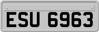 ESU6963