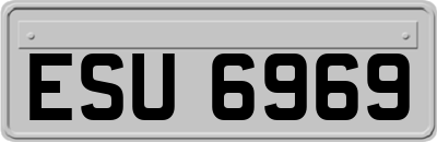 ESU6969