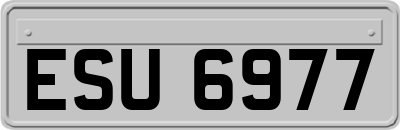 ESU6977