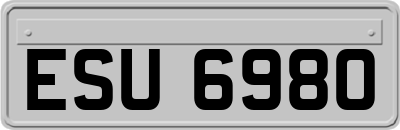 ESU6980