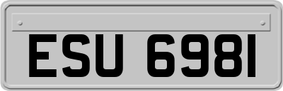 ESU6981
