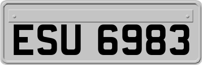 ESU6983