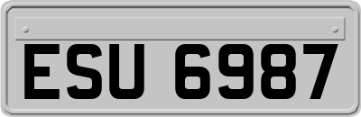 ESU6987