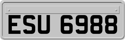 ESU6988