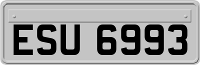ESU6993