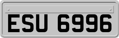 ESU6996
