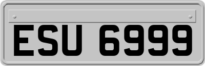 ESU6999