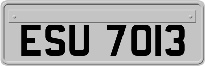 ESU7013