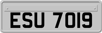 ESU7019